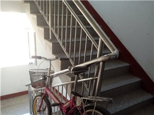 永久20自行车，8成新，没咋骑，今年做了一次保养。